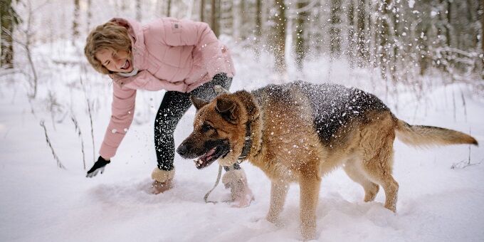 német-juhászkutya-gazdival-játszik-a-hóban