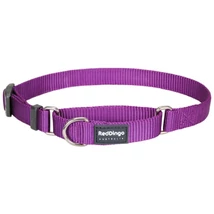 Red Dingo Purple Large Martingale nyakörv Red Dingo Purple Large Martingale nyakörv