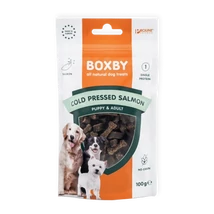 Boxby Cold Pressed Salmon 100g