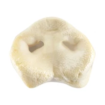 JACK disznó orr fehér zsugorban 1db