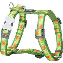 Red Dingo Tropical Green Large kutya hám