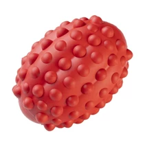 GimDog "Red Titan"