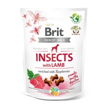 Brit Care Dog Crunchy Cracker Insects with Lamb and Raspberries 200g