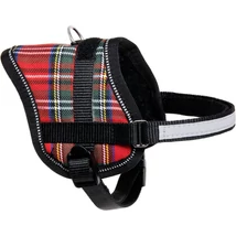 FLAMINGO HÁM EENY MEENY KOCKÁS