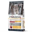 ProScience Adult Cat Chicken 15kg
