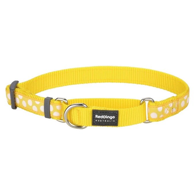 Red Dingo White Spots Yellow Large Martingale nyakörv