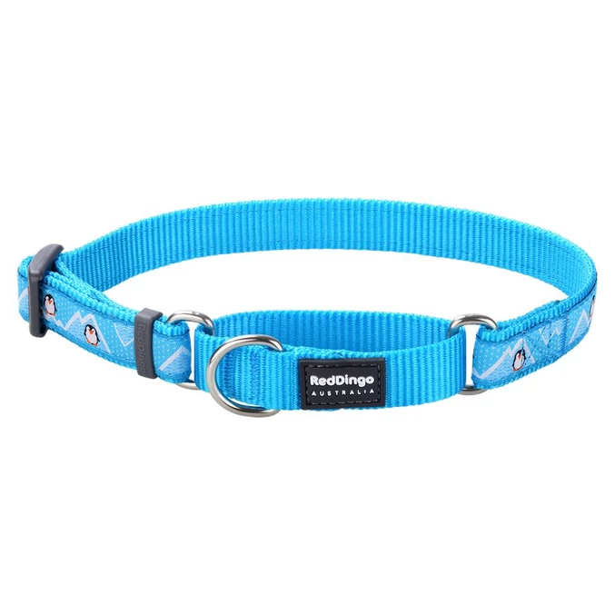 Red Dingo Penguin Turquoise Large Martingale nyakörv
