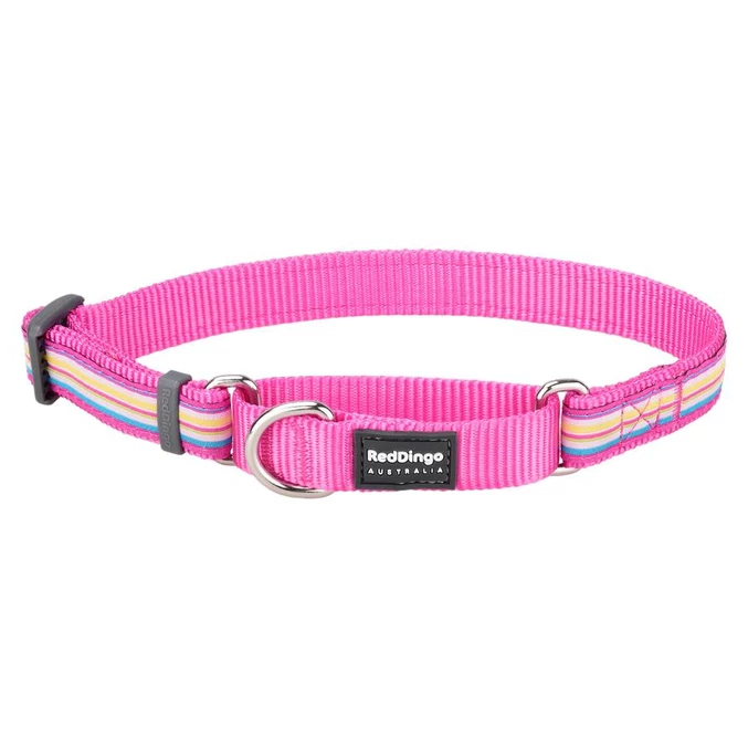 Red Dingo Horizontal Stripes Hot Pink Large Martingale nyakörv
