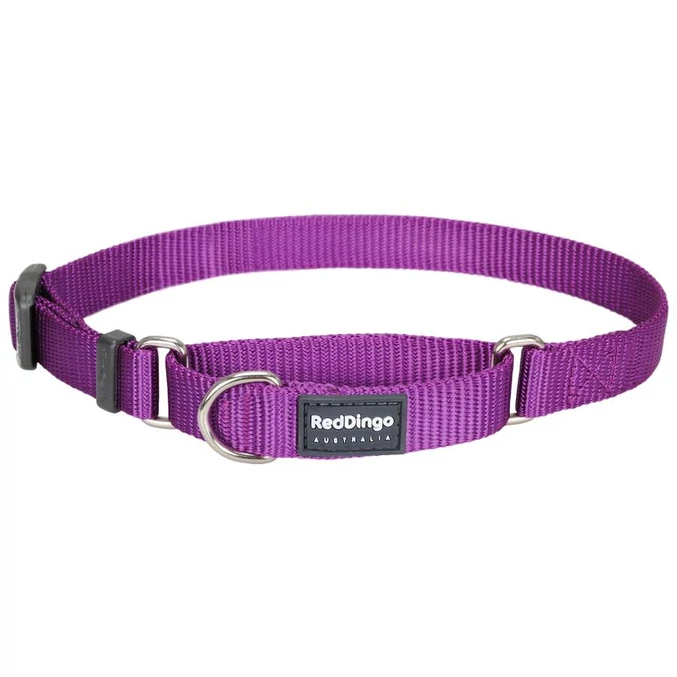 Red Dingo Purple Large Martingale nyakörv