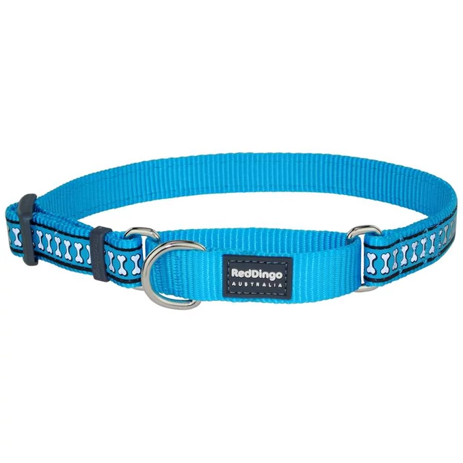 Red Dingo Reflective Turquoise Large Martingale nyakörv