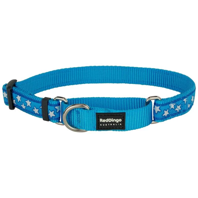 Red Dingo Stars Turquoise Large Martingale nyakörv