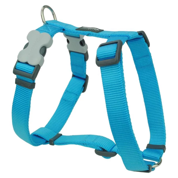 Red Dingo Turquoise Large Dog hám
