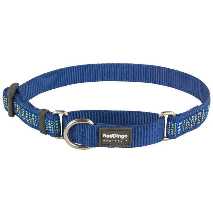 Red Dingo Lotzadotz blue Large Martingale nyakörv