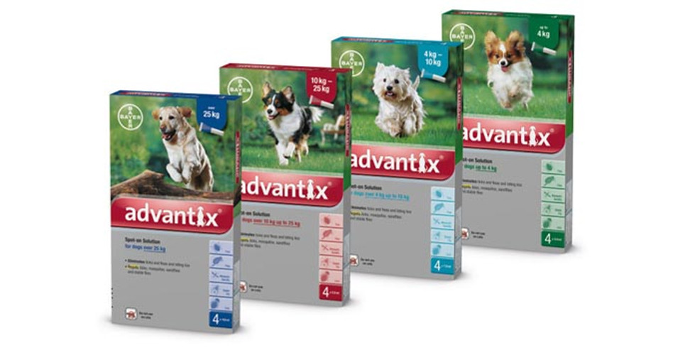 advantix 10 kg