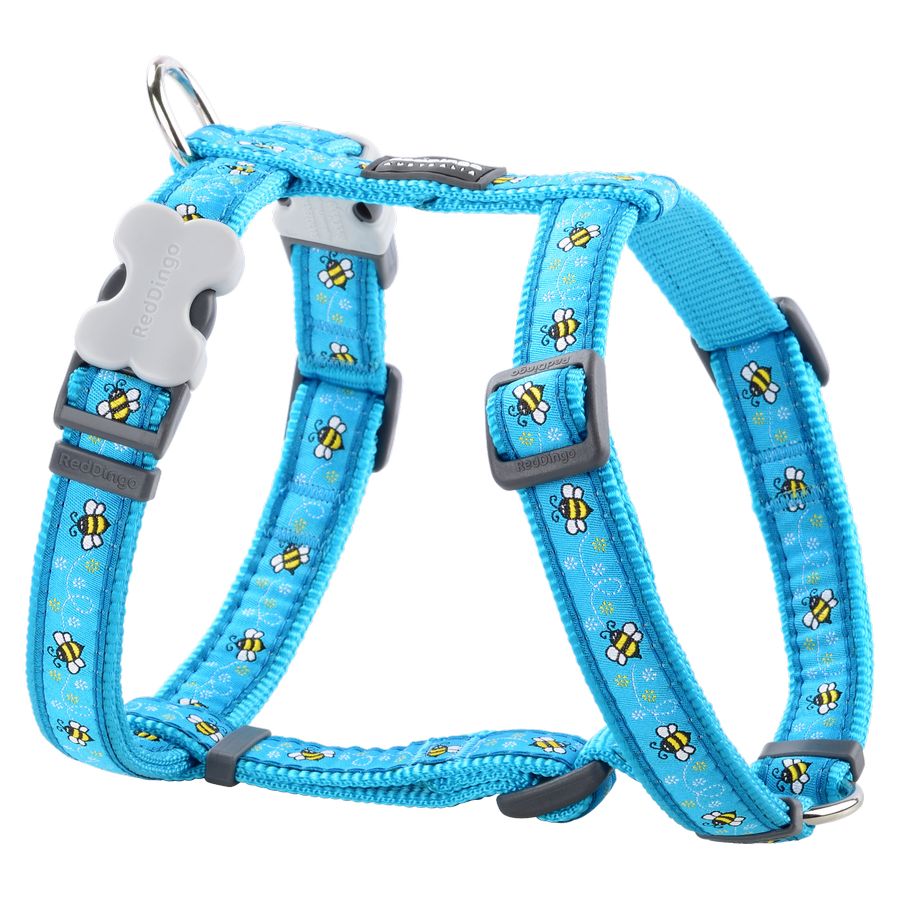 dingo dog collar